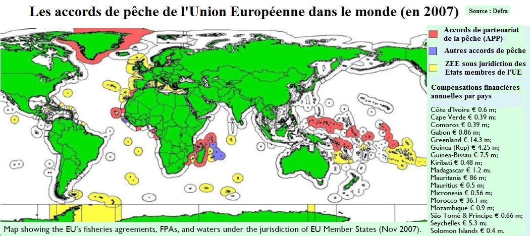 Comme augmenter le membre pour
